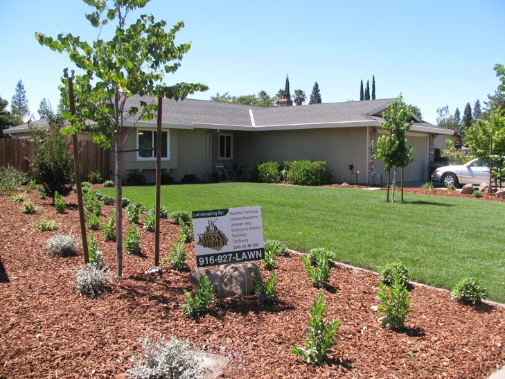 Front Yard Renovation