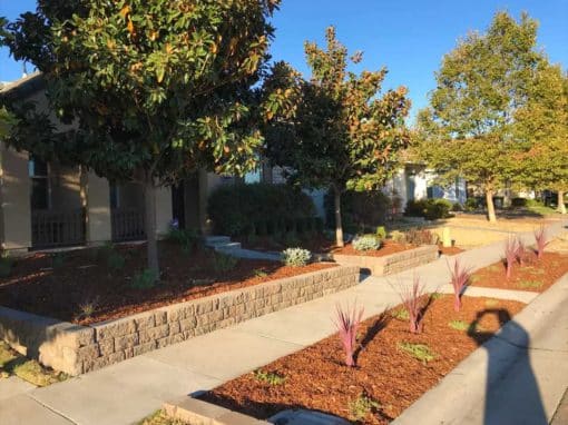 Raised Front Yard Planters