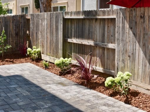 Back Patio Renovation